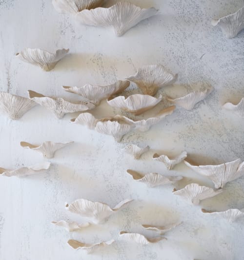 Conks Mushrooms Wall Sculpture, 60 Pieces Set, Cream White | Wall Hangings by SevaCeramics