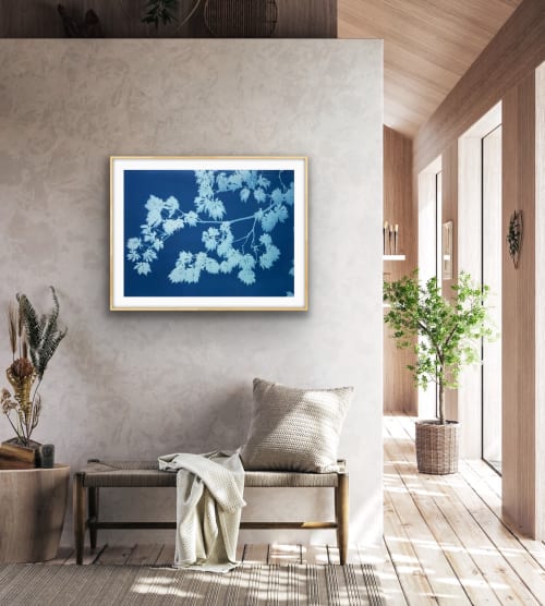 Midnight Japanese Maple (22 x 32" original cyanotype) | Photography by Christine So