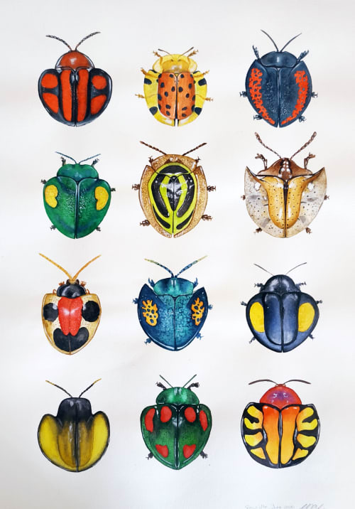Cassidinae tortoise beetle study | Art Curation by Nussay watercolor