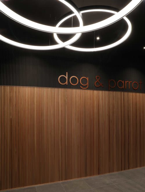Dog & Parrot Tavern, Bars, Interior Design