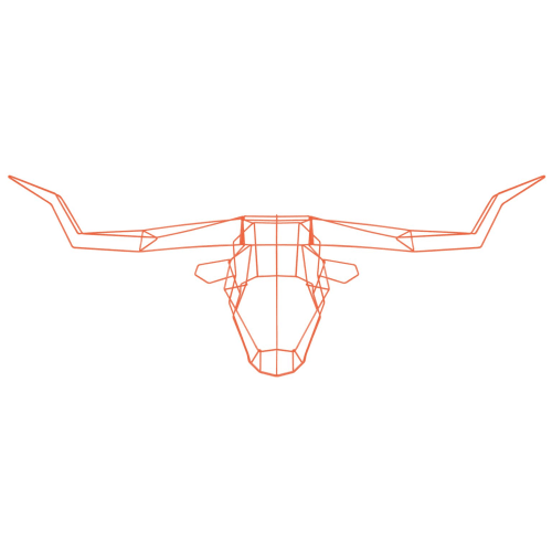 Longhorn Trophy Head | Wall Sculpture in Wall Hangings by Bend Goods