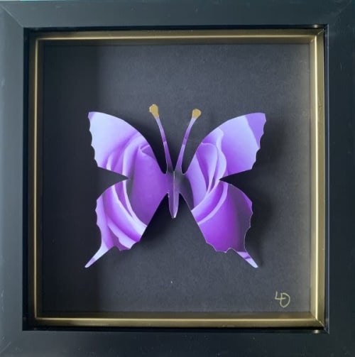 Flower Butterfly Boxes | Decorative Frame in Decorative Objects by Lorna Doyan