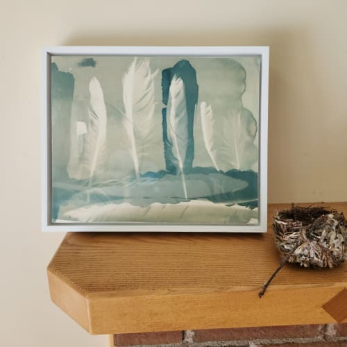 Provincetown Feathers | Photography by Madge Evers