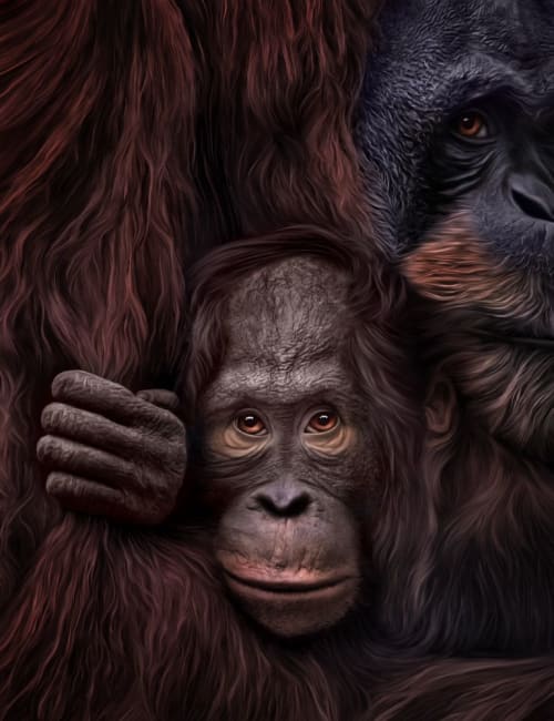 Protected | Photography by Judy Reinford