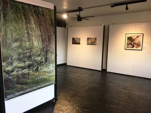 Solo Exhibition at the Onyx Gallery | Photography by Reed Hearne / Digital Art