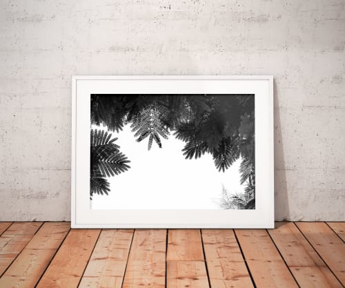 The Tree Top II | Limited Edition Print | Photography by Tal Paz-Fridman | Limited Edition Photography
