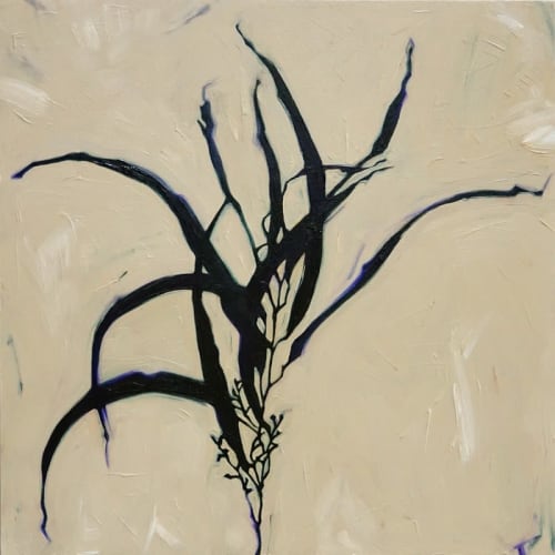 Nova | Paintings by Jill Sykes