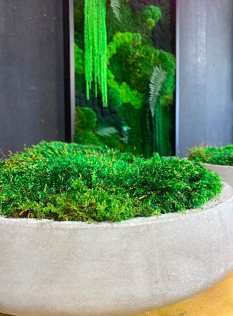 Cement Moss Bowl Centerpiece | Decorative Bowl in Decorative Objects by Moss Art Installations