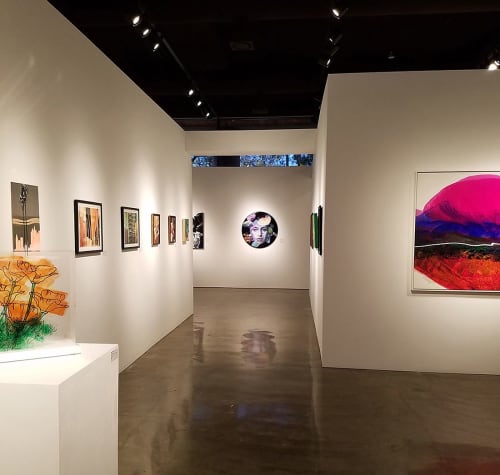 Plasticized | Paintings by Sarupa Sidaarth | Brea Gallery in Brea