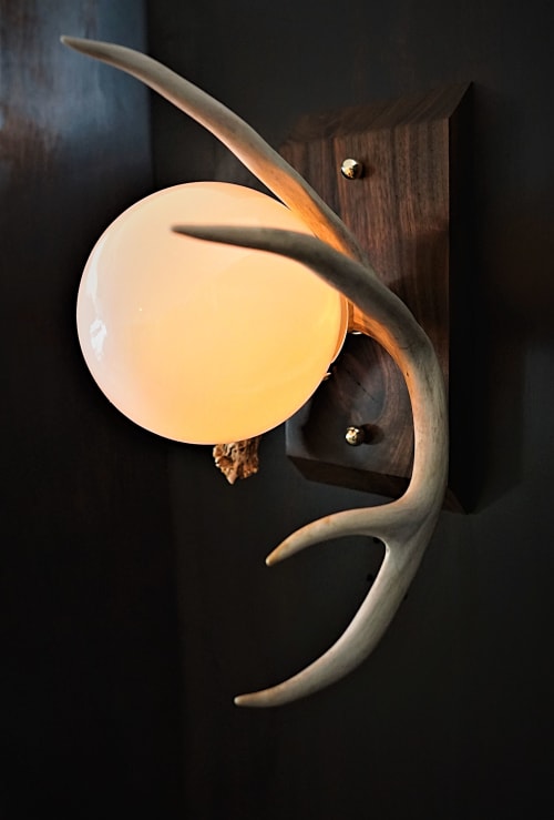 "The Moonlight" Deer Antler Black Walnut Wall Sconce | Sconces by Ronnie Hargrave