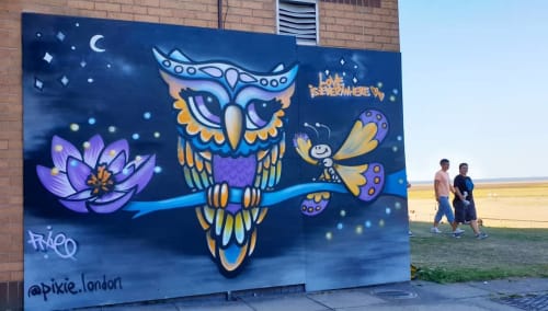 Owl mural | Street Murals by Pixie London | Cleethorpes Beach in Cleethorpes