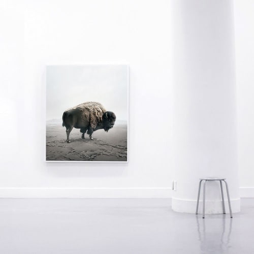 Be Here Bison | Photography by Alice Zilberberg | Los Angeles in Los Angeles