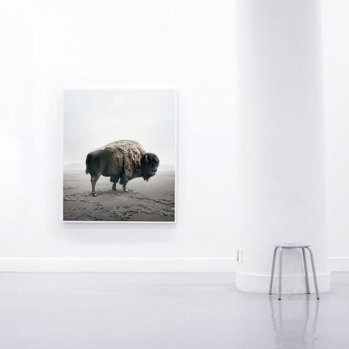 Be Here Bison | Prints by Alice Zilberberg | Los Angeles in Los Angeles