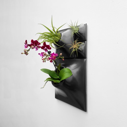 Modern Ceramic Wall Planter Black Set of 4 - Living Wall | Plants & Landscape by Pandemic Design Studio