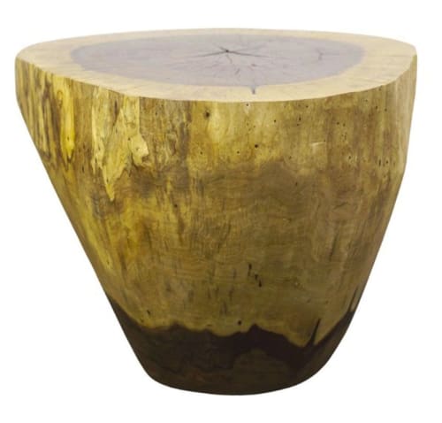 Carved Live Edge Solid Wood Trunk Table ƒ4 by Costantini | Side Table in Tables by Costantini Design