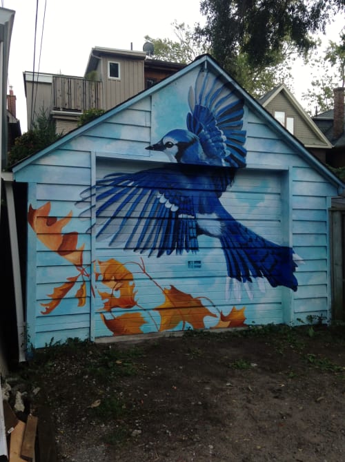 Blue Jay Mural | Street Murals by Murals By Marg