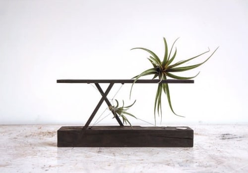 Mobius Terrarium | Plants & Flowers by Plant-In City | Plant-in City Studio NYC in Brooklyn