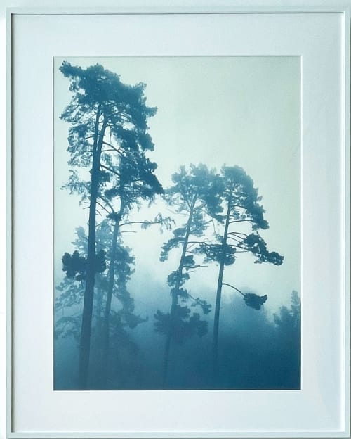 Foggy Morning Pines" (30 x 24 FRAMED hand-printed cyanotype) | Photography by Christine So