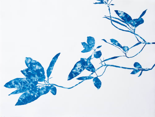 Creekside Madrone (22 x 30" cyanotype painting on paper) | Watercolor Painting in Paintings by Christine So