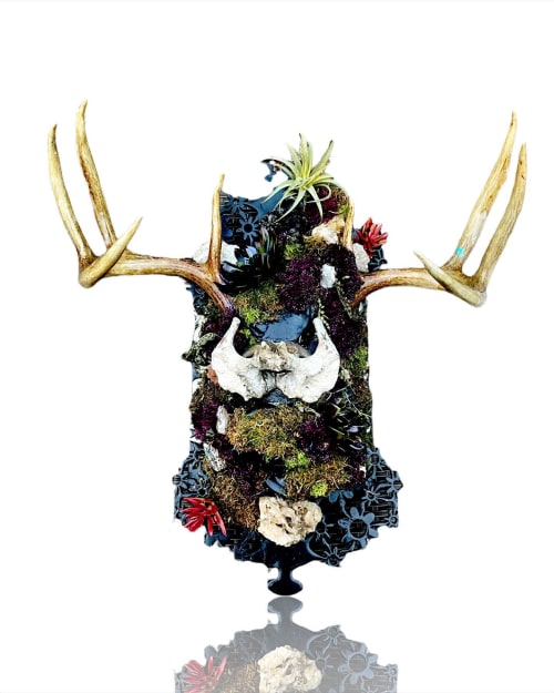 Antler Accessories | Decorative Objects by Gypsy Mountain Skulls