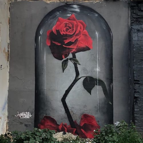 A rose behind glass | Murals by Konestilo | Huelva in Huelva