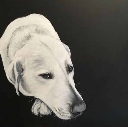 Commissioned dog portrait | Paintings by Tricia Trinder Art