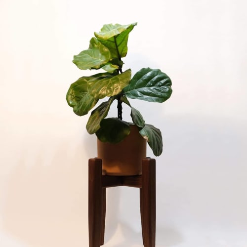 Mortised Plant Stand | Plants & Landscape by Oliver Inc. Woodworking