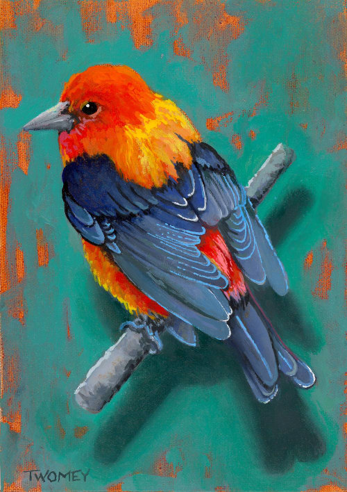Scarlet Tanager | Paintings by Catherine Twomey