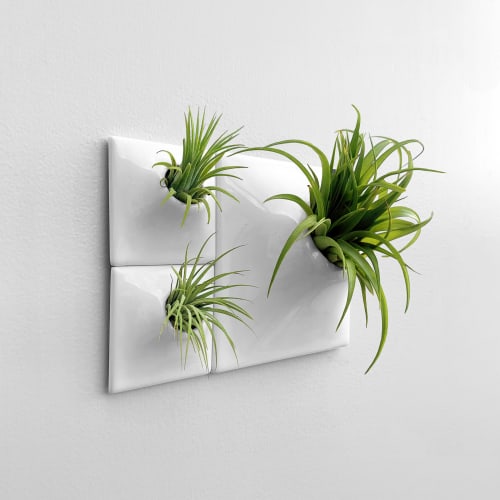 Node Ceramic Wall Planter Set of 3 - Living Wall Art | Plants & Landscape by Pandemic Design Studio