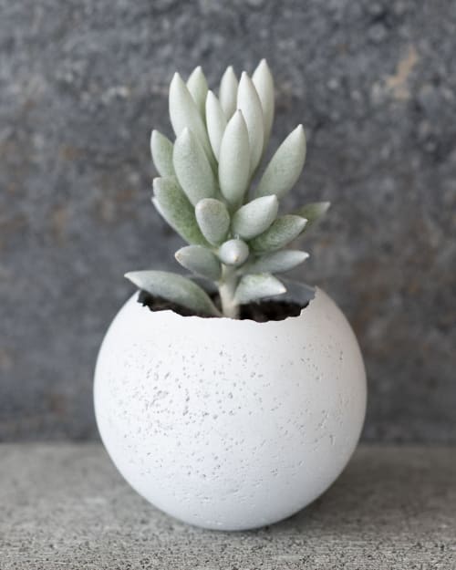 Orbis Concrete Vessels - L | Plants & Flowers by Household by KONZUK