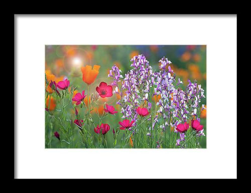 Colors of Spring | Prints by Vanessa Thomas