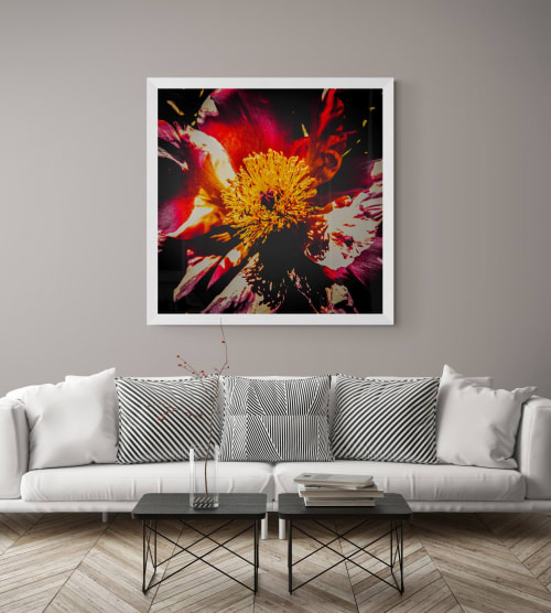 Fire Flower No. 1 | Prints by Anna Jaap Studio