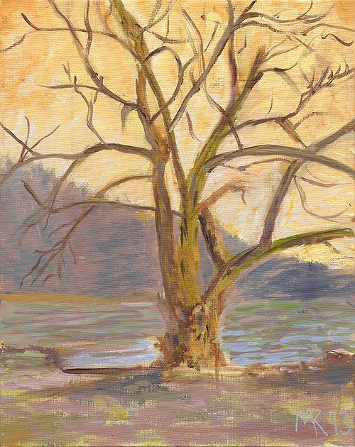 Ancient Tree at Oneida Lake - Original Oil Painting on Canva | Oil And Acrylic Painting in Paintings by Michelle Keib Art