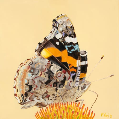 Red Admiral Butterfly Oil Painting | Paintings by Michelle Keib Art