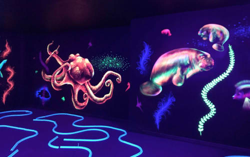 Glow In The Dark Black Light Sea Mural By Works Of Stark Murals And Design Seen At Private Residence Davenport Wescover