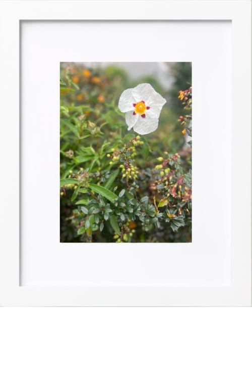 You Caught My Eye | Photography by KNOF design