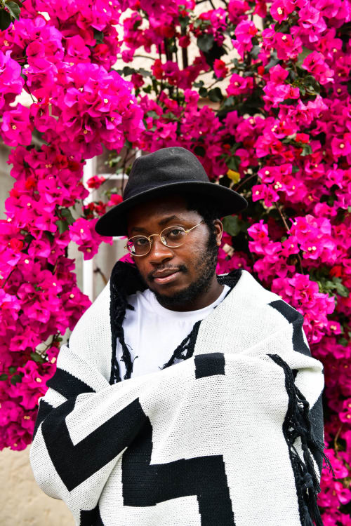 Explore Johannesburg Design and Art Wescover