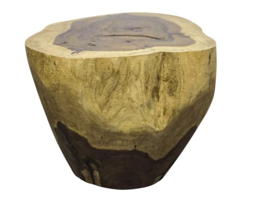 Carved Live Edge Solid Wood Trunk Table ƒ2 by Costantini | Side Table in Tables by Costantini Design