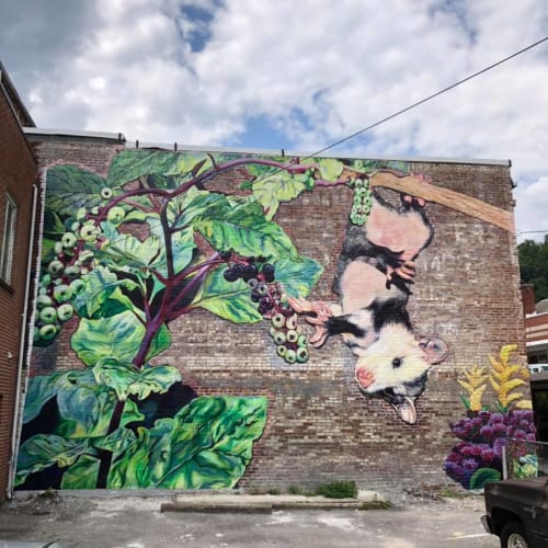 Possum mural | Street Murals by Lacy Hale