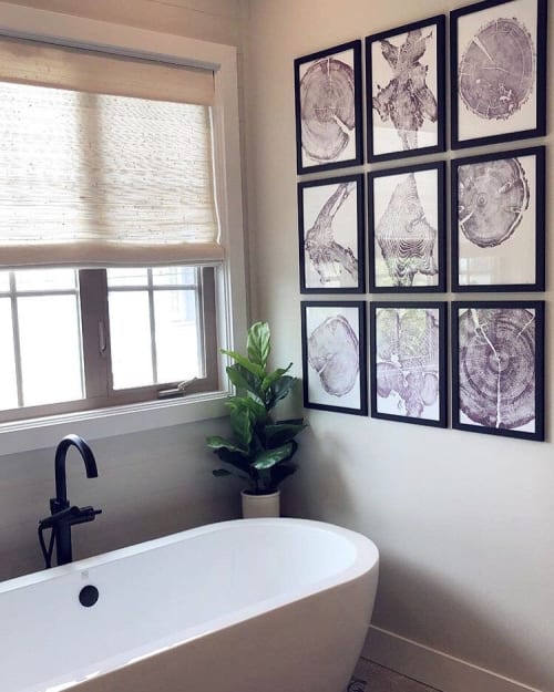 Set of 9 Tree Ring Prints | Prints by Erik Linton