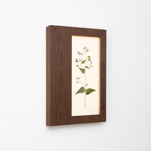 Herbarium Mini: Lunaria Annua - Wall Light Sculpture | Wall Sculpture in Wall Hangings by Mateusz Wappa Design & Research