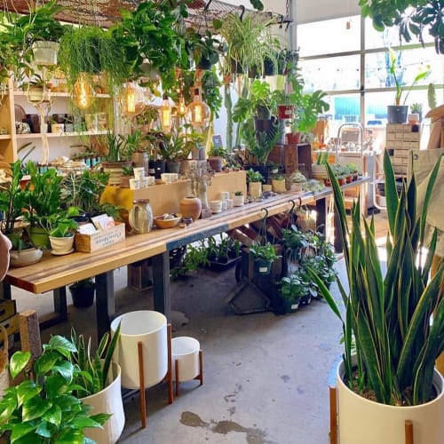 Ceramic Cylinder Planter | Vases & Vessels by LBE Design | Sierra Water Gardens in Reno