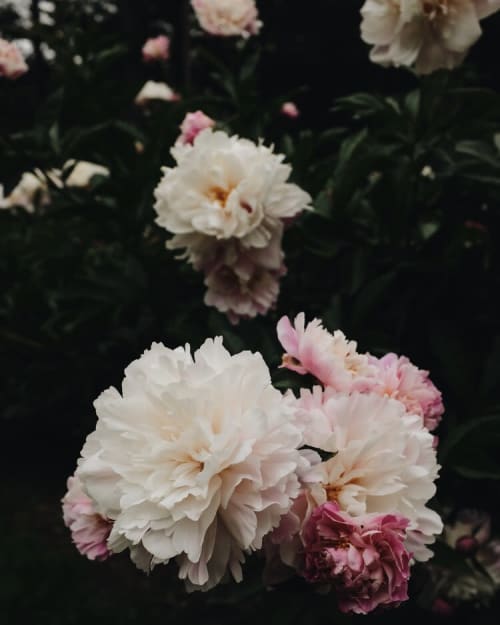 In Quiet Solitude 26 Print | Prints by Emily Tingey