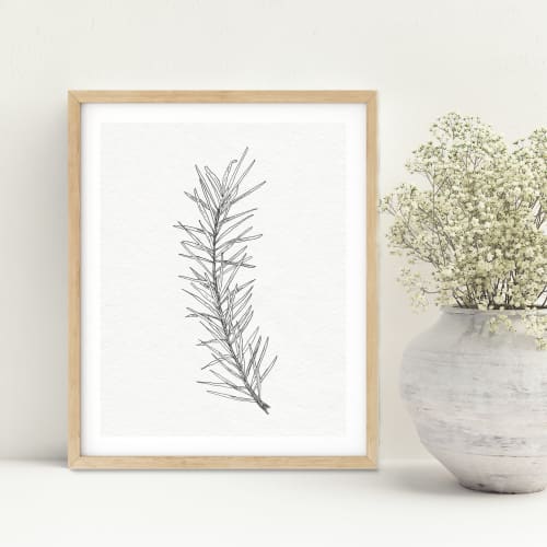 Pine Branch Sketch - Botanical Pen and Ink Illustration Art | Prints by Jennifer Lorton Art