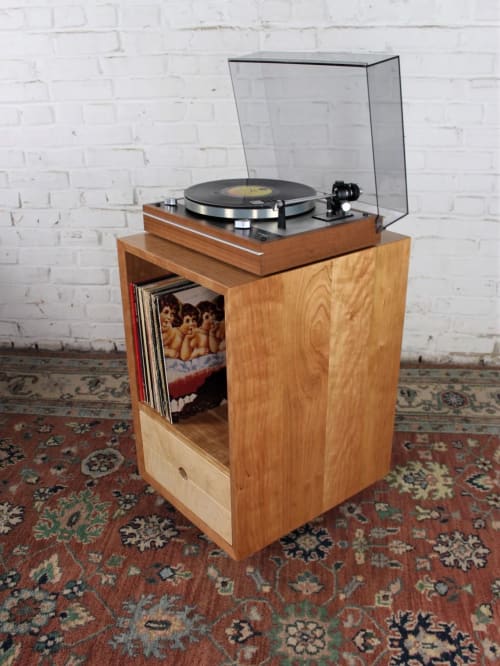 Solid organic modern style cherry record case bookcase media | Storage by GideonRettichWoodworker