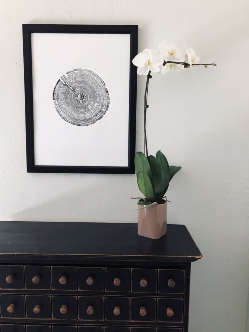 Birmingham Alabama Long Leaf Pine | Prints by Erik Linton