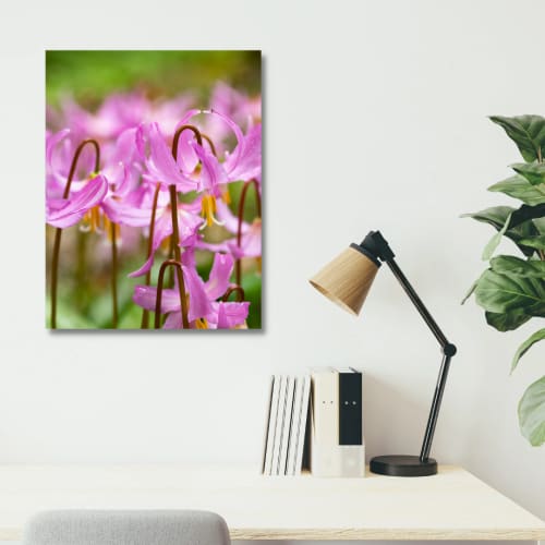 Photograph • Floral Print, Insect, Spring, Macro | Photography by Honeycomb