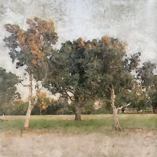 November Morning Mist 4 | Paintings by Irena Orlov