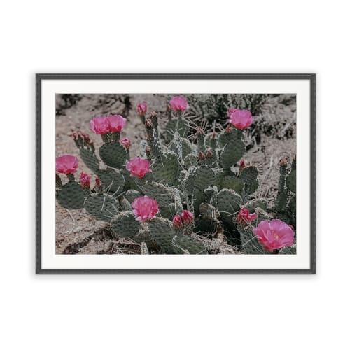 IN BLOOM | Southwest Wall Art | Yant Flat, UT | Photography by Jess Ansik