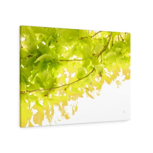 Sunkissed Oak _ 3643  --  bring a lush summer day inside | Prints in Paintings by Petra Trimmel